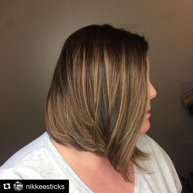 #Repost @nikkeesticks with @get_repost
・・・
Toning the summer blondes down to the &ldquo;fall&rdquo; blondes!! Love brunette hair ❤️ #avedaartist #avedacolor #avedabrunette #nicoletaylorhair #bloomaveda #bloomhailey #clientmodels #fallhair #haveanicew