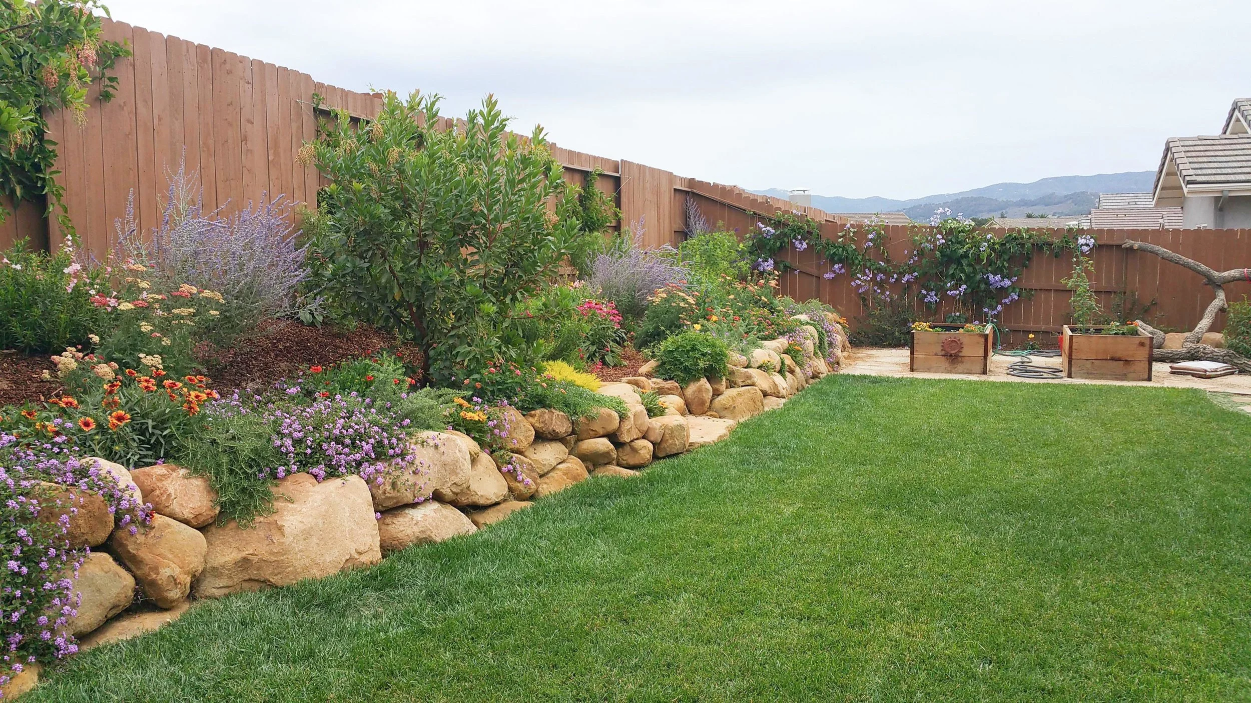 Skytt Mesa Backyard Nectar Garden — Céladon Designs