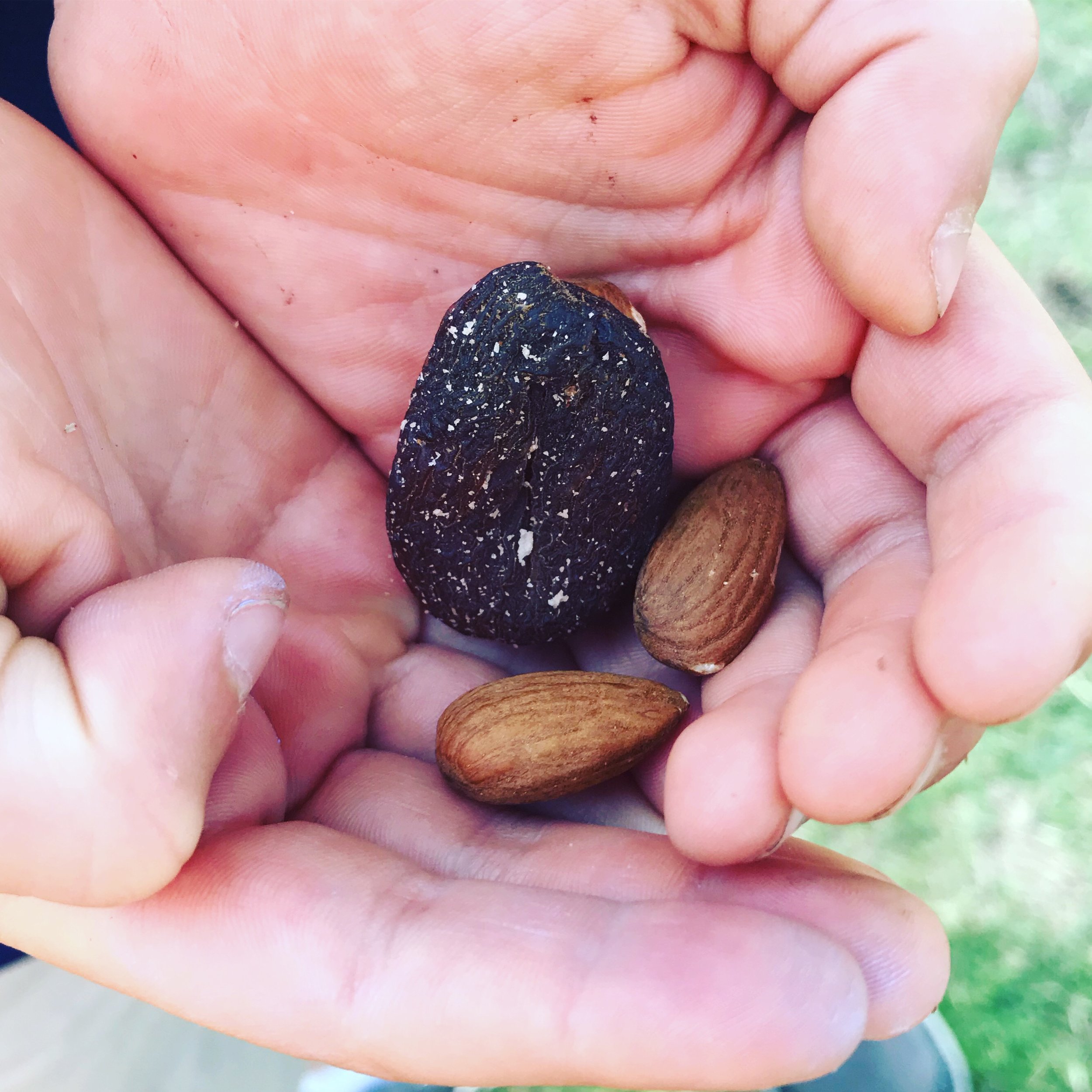 [Back to School Series] Snacks