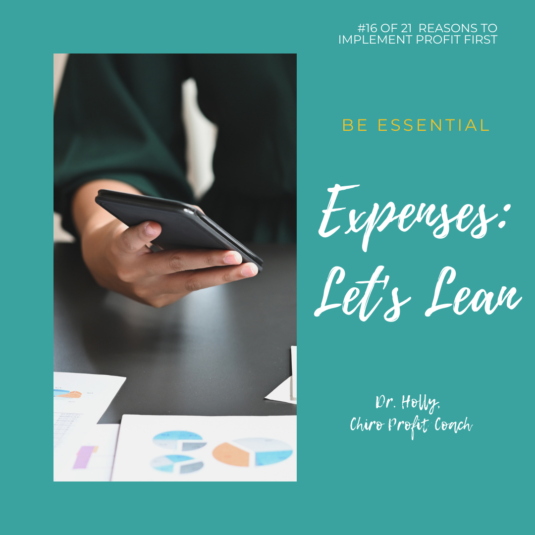 Reason #16: Get Lean in Your Expenses
