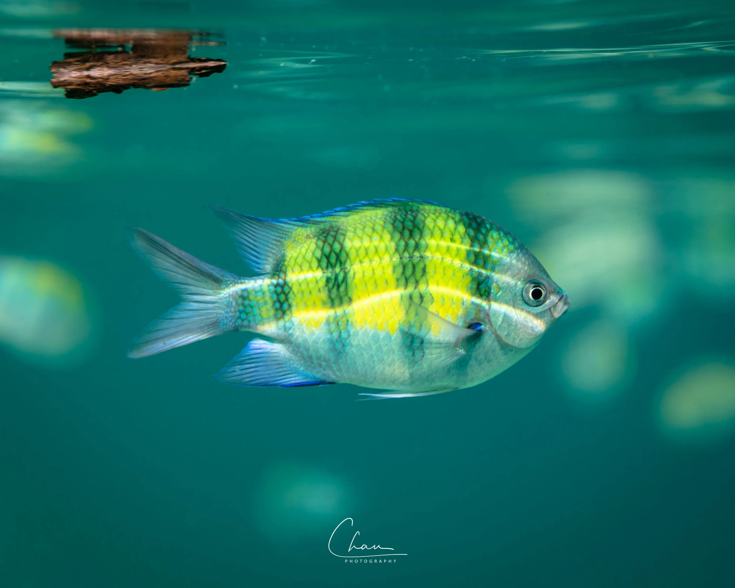 B90I4358-Edit.jpg