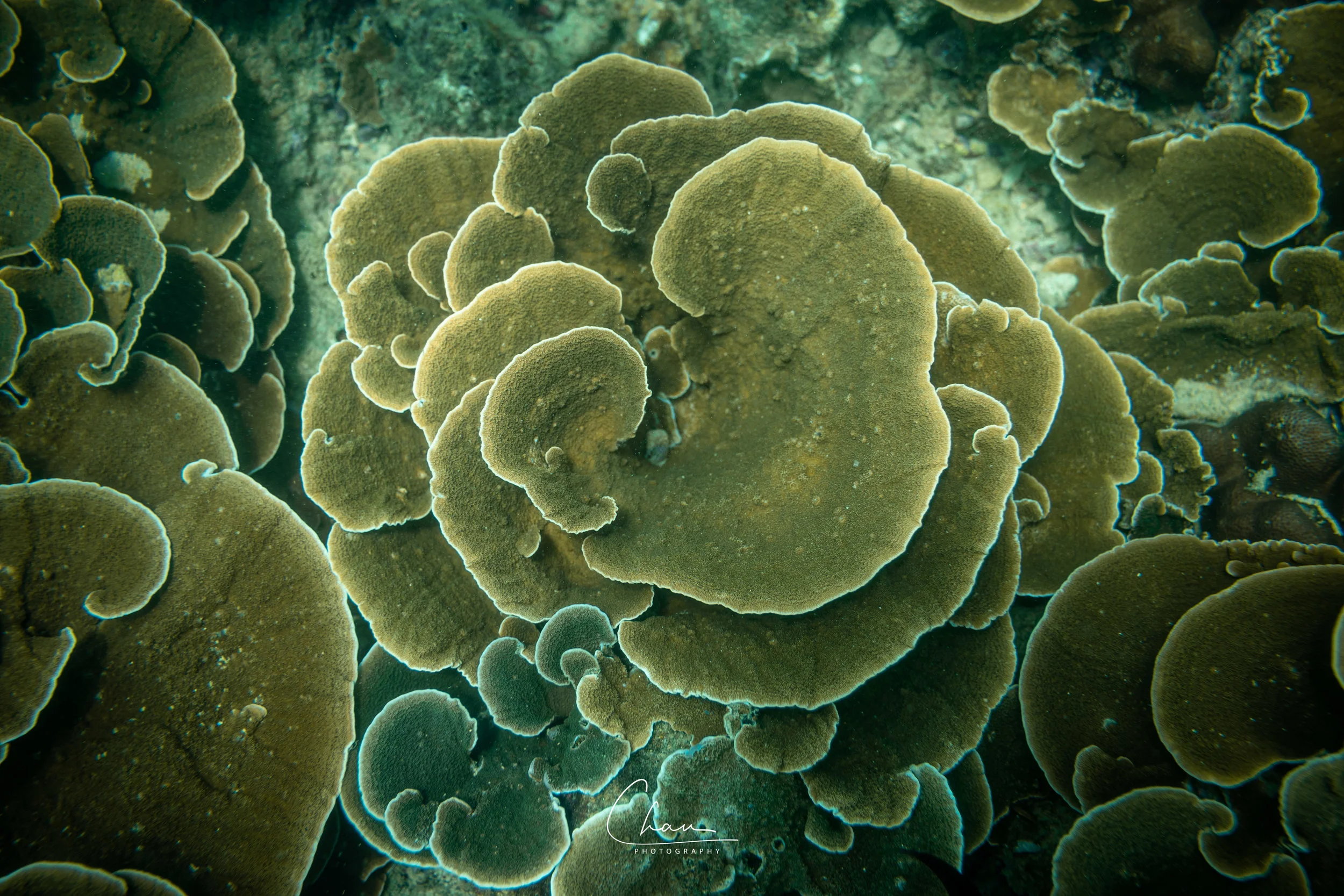 B90I4041-Edit.jpg