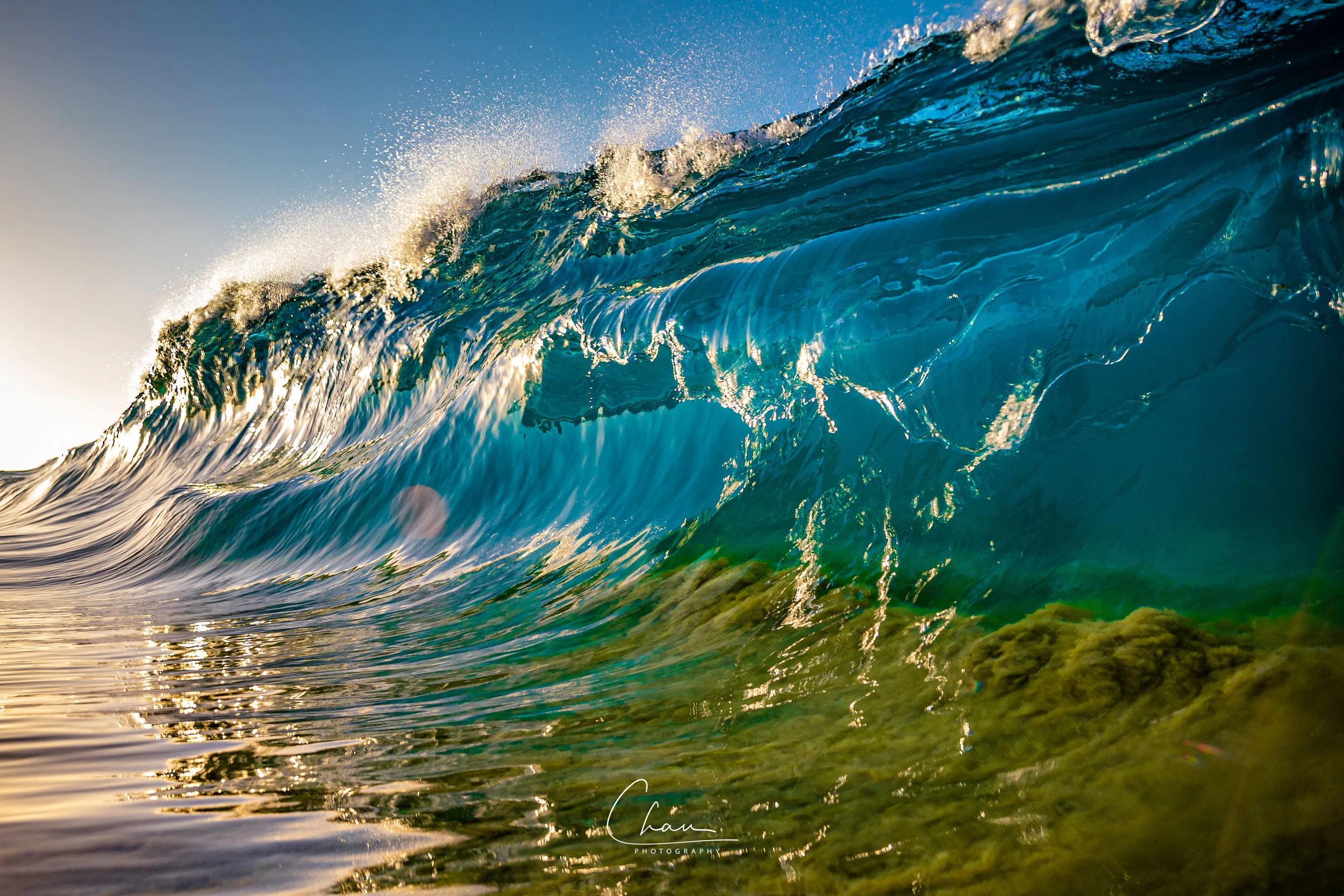 B90I8282-Enhanced-Edit-3.jpg