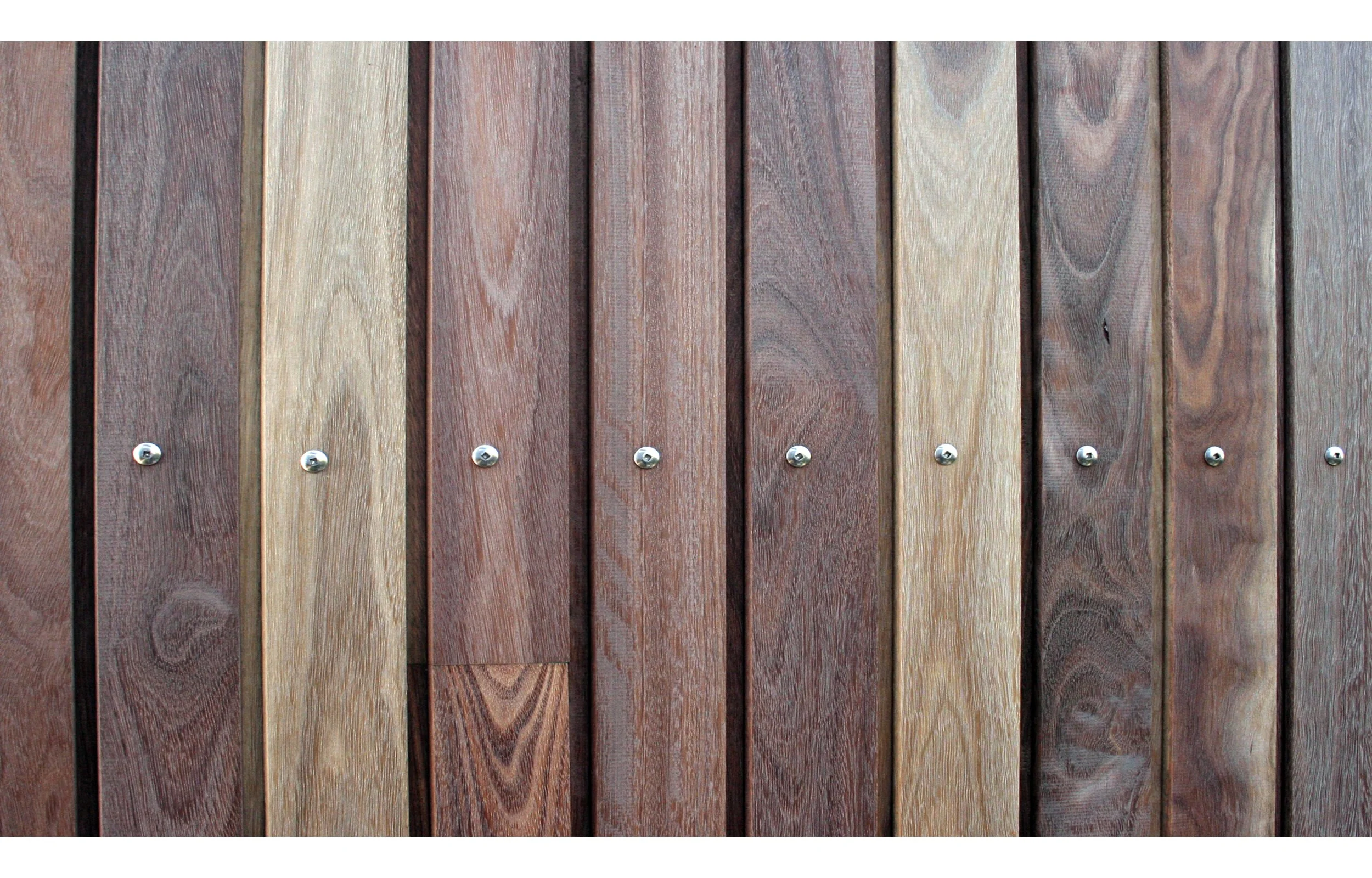 Egg Landscape 01.jpg