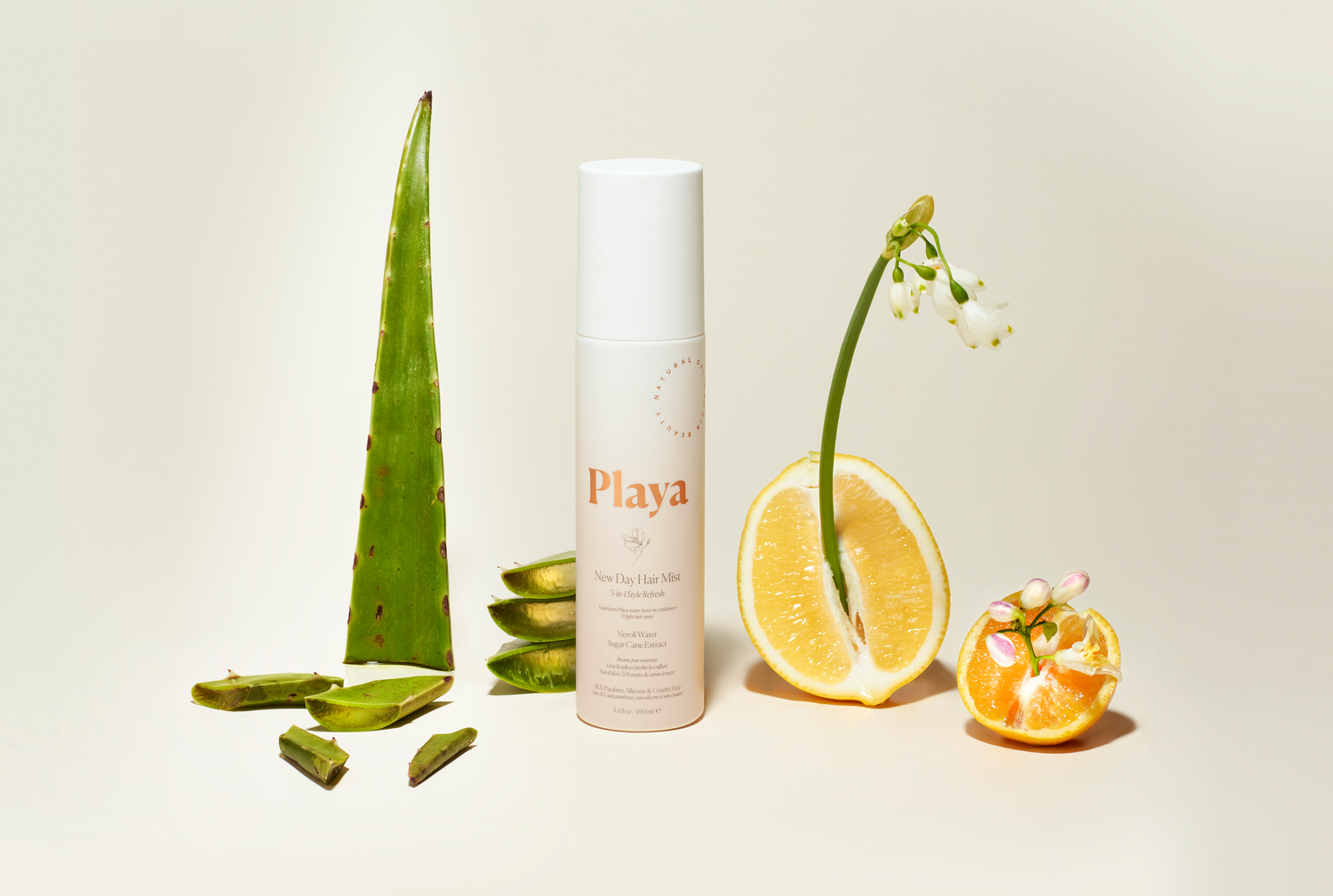 Wallpaper Playa Kiyoshi Creative Desktop Wallpaper