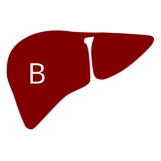 hep b icon.png