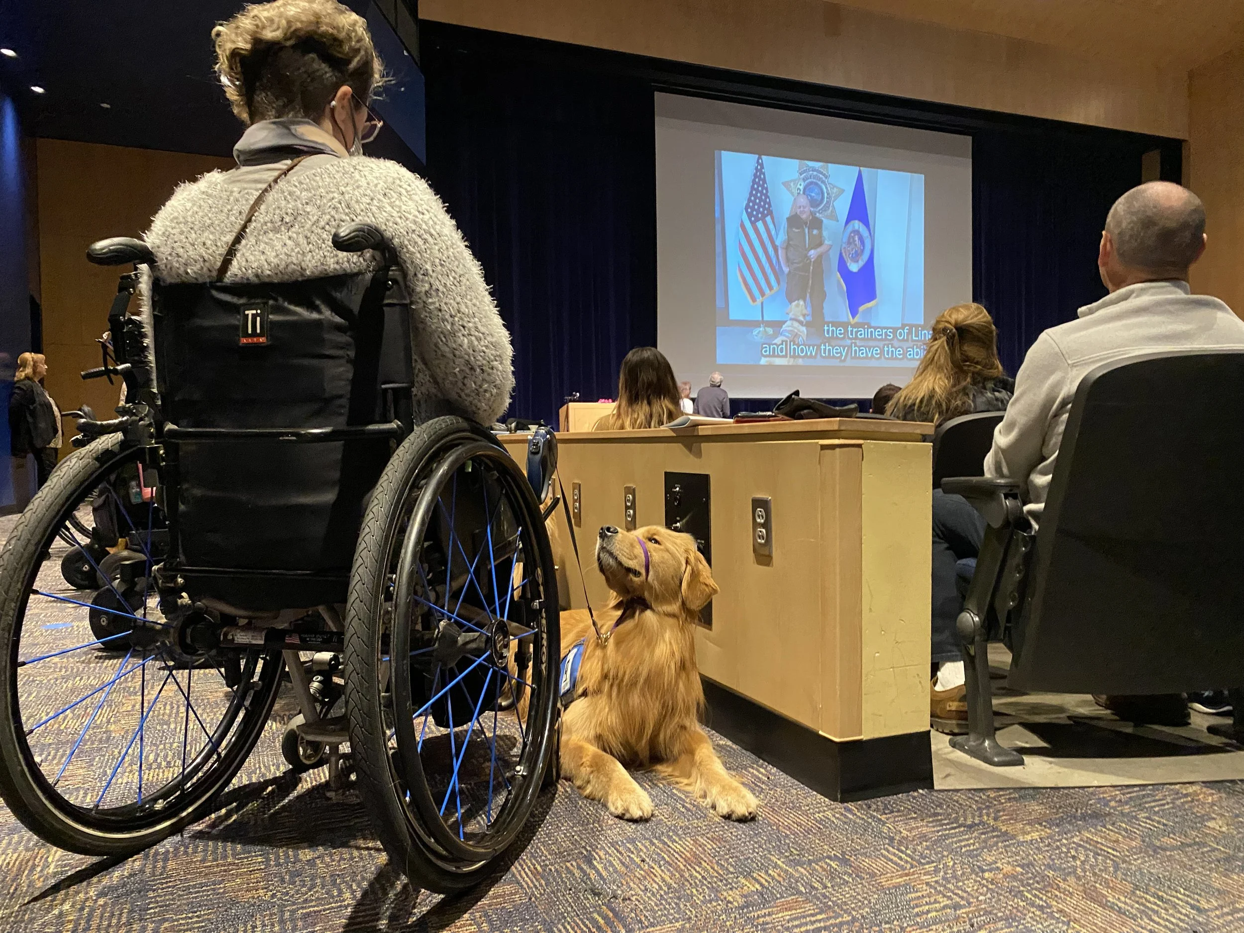 Graduating with Paw-nors: Service Dogs to Help People with Disabilities