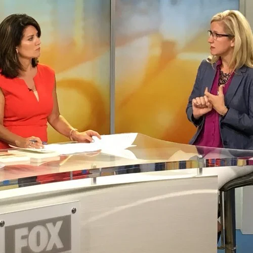 Author Lee Blum on Fox 9 News