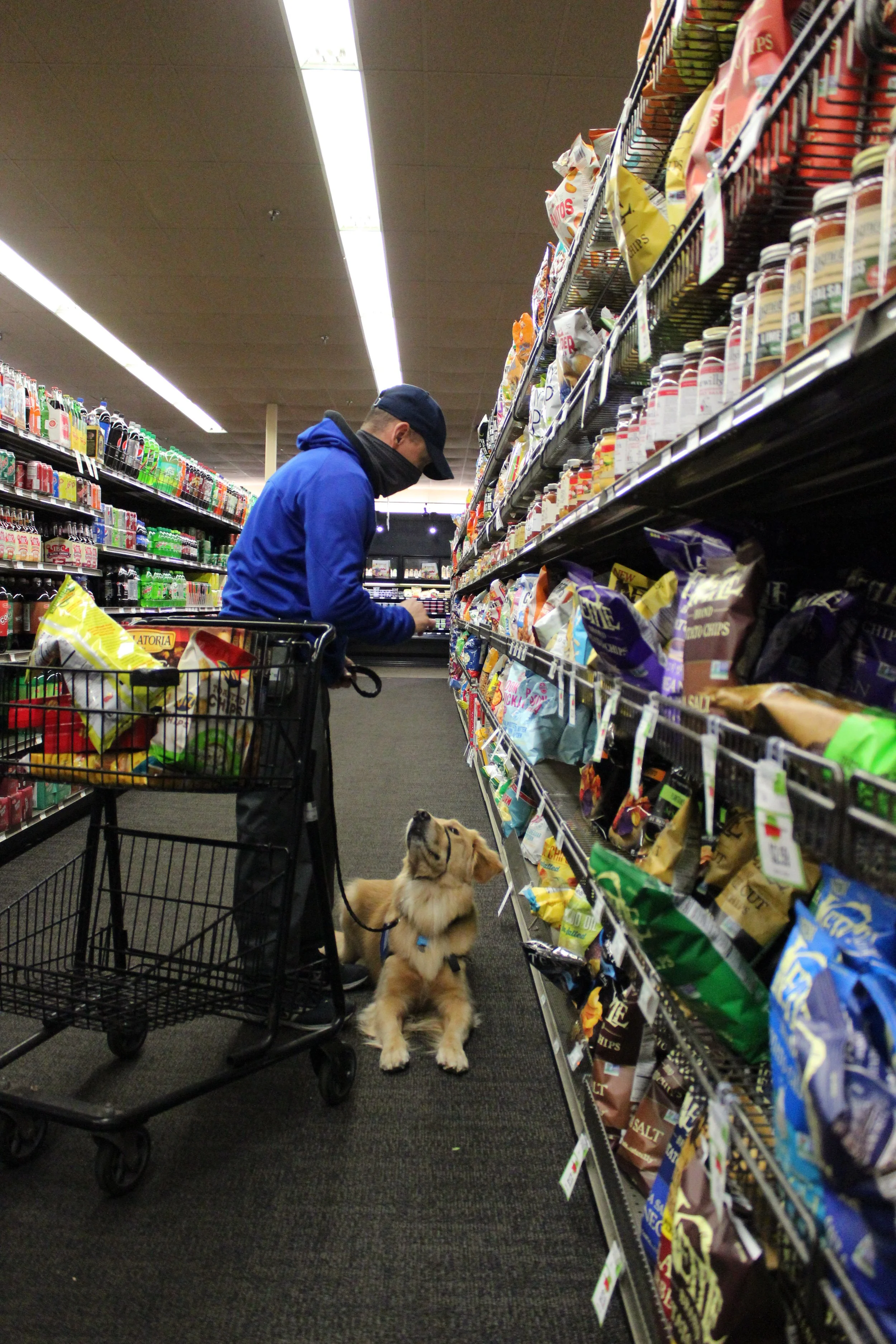 Helping Paws Breeds and Trains Dogs to Be Service Animals