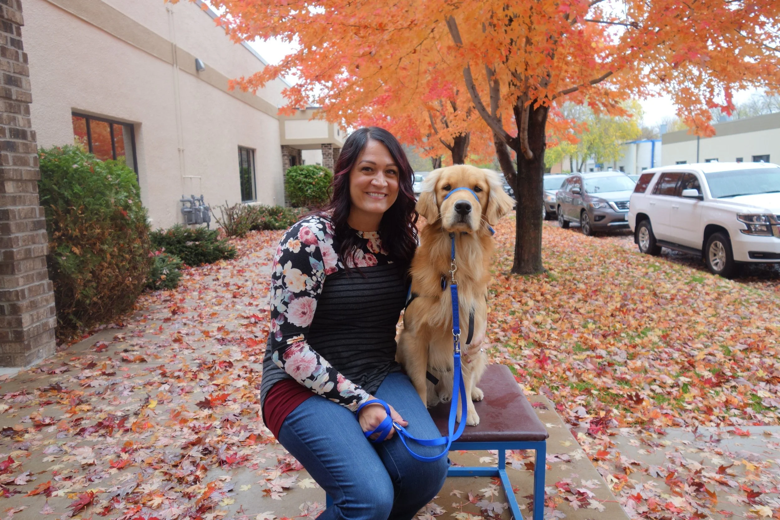 Court Dog Nova Helps Ease Victims' Trauma