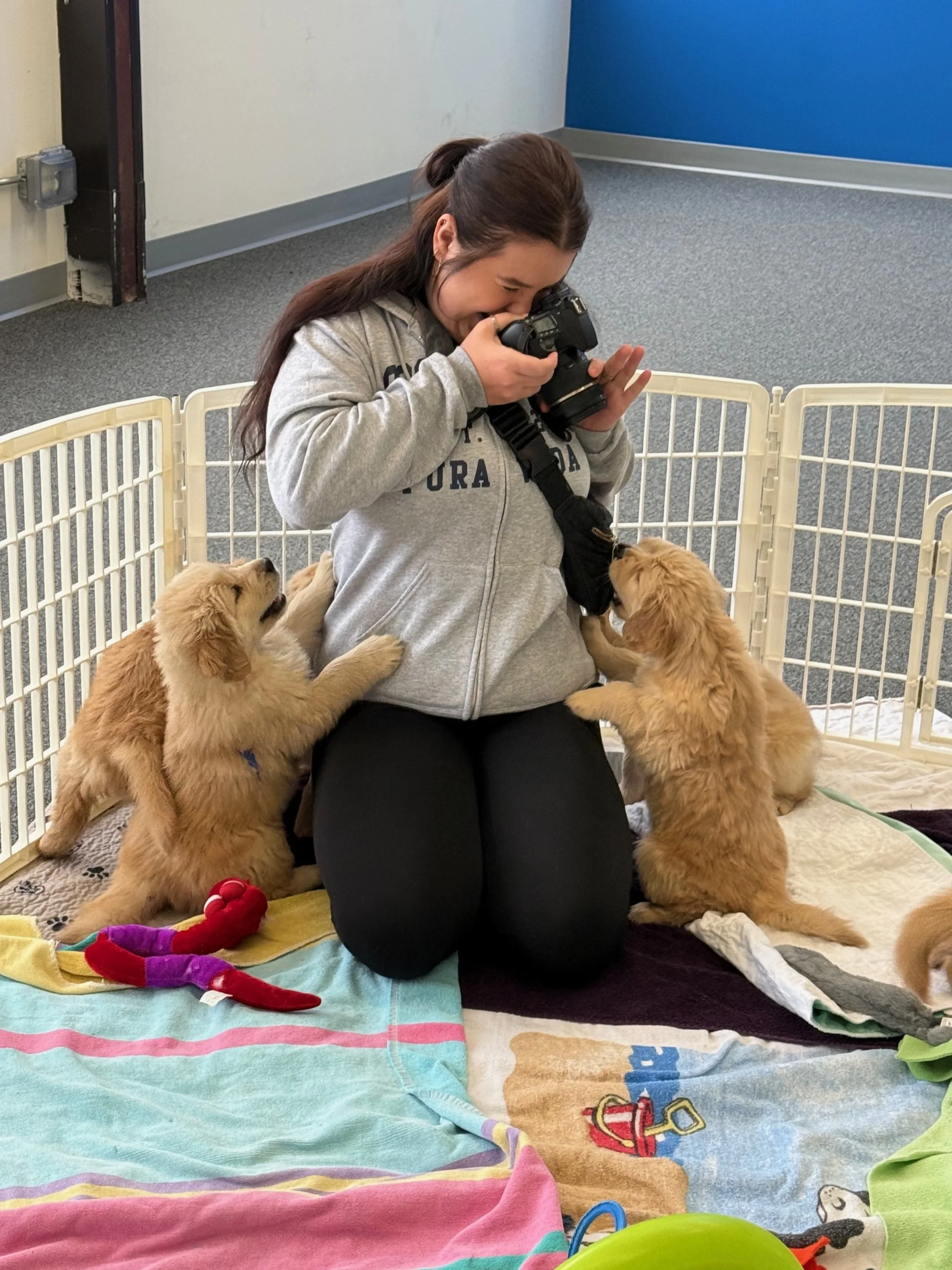 Eden Prairie Gets Some Puppy Love at the Herman Puppy  Enrichment Center