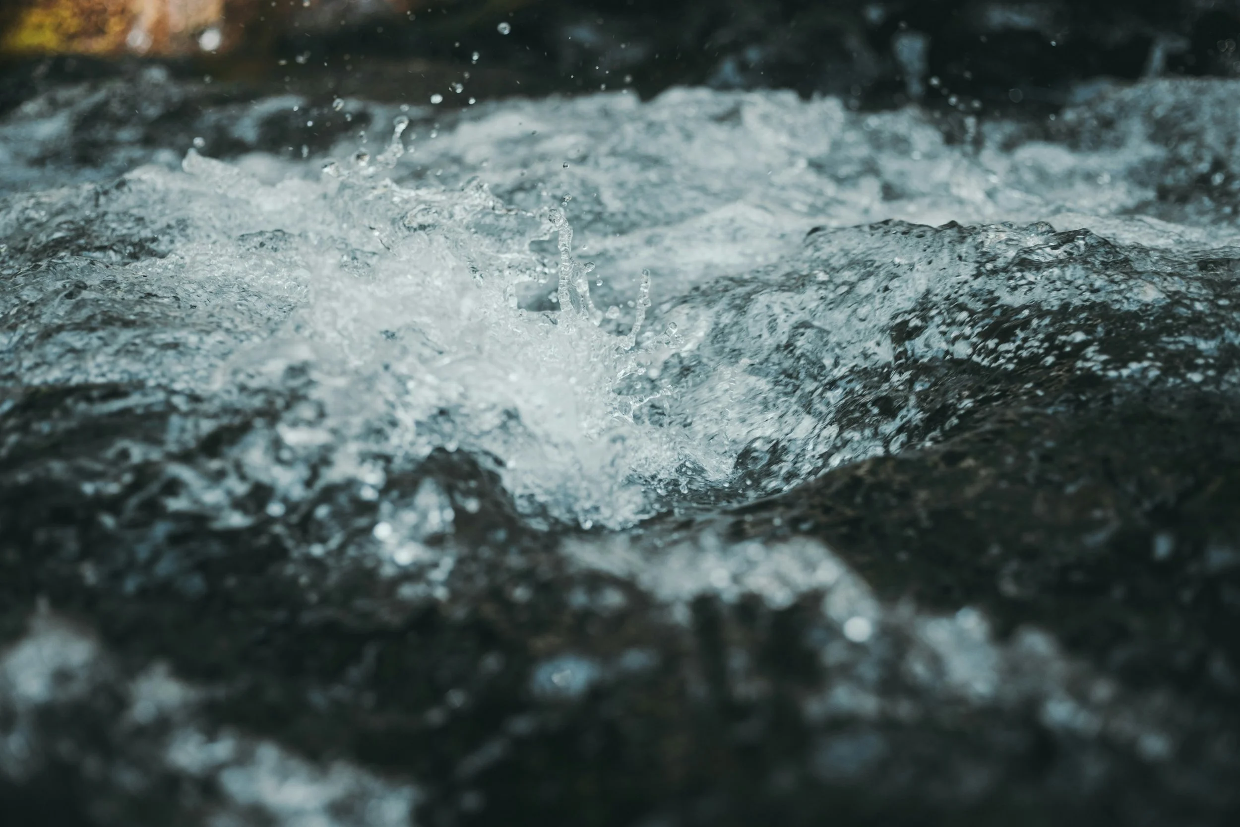 Should You Cold Plunge Before or After Exercising?