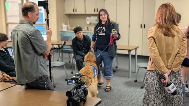 Meet Herbie: Falcon Ridge Middle School Facility Dog