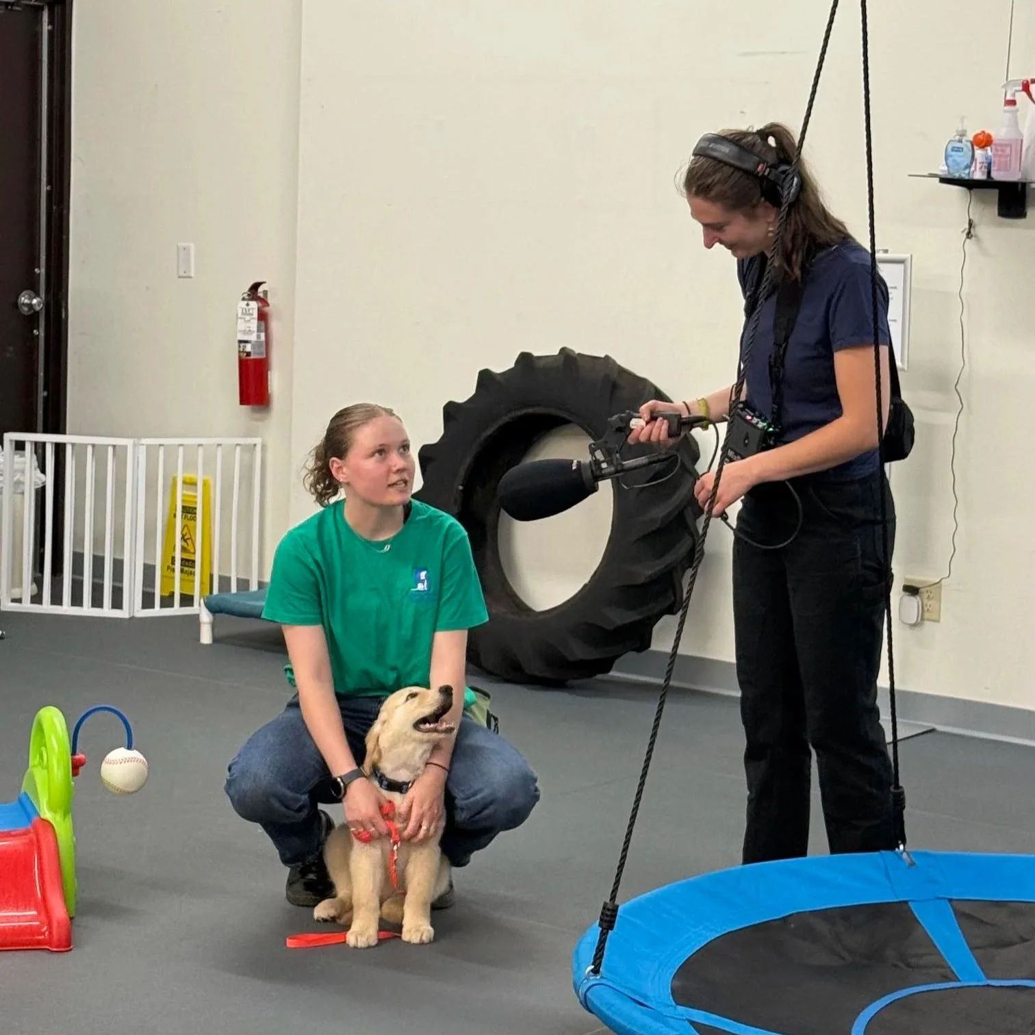 'Guided by Gilbert' Litter Carries on Hortmans' Legacy Through Service Dogs