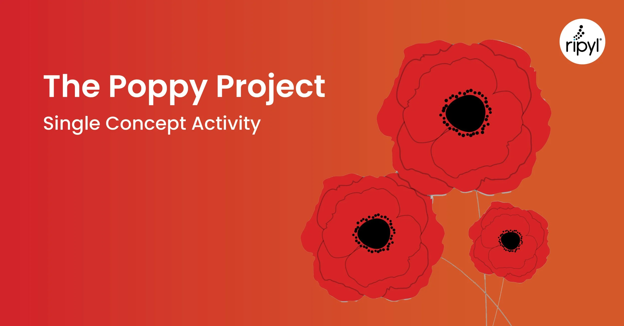 Poppy Project - SEO.jpg