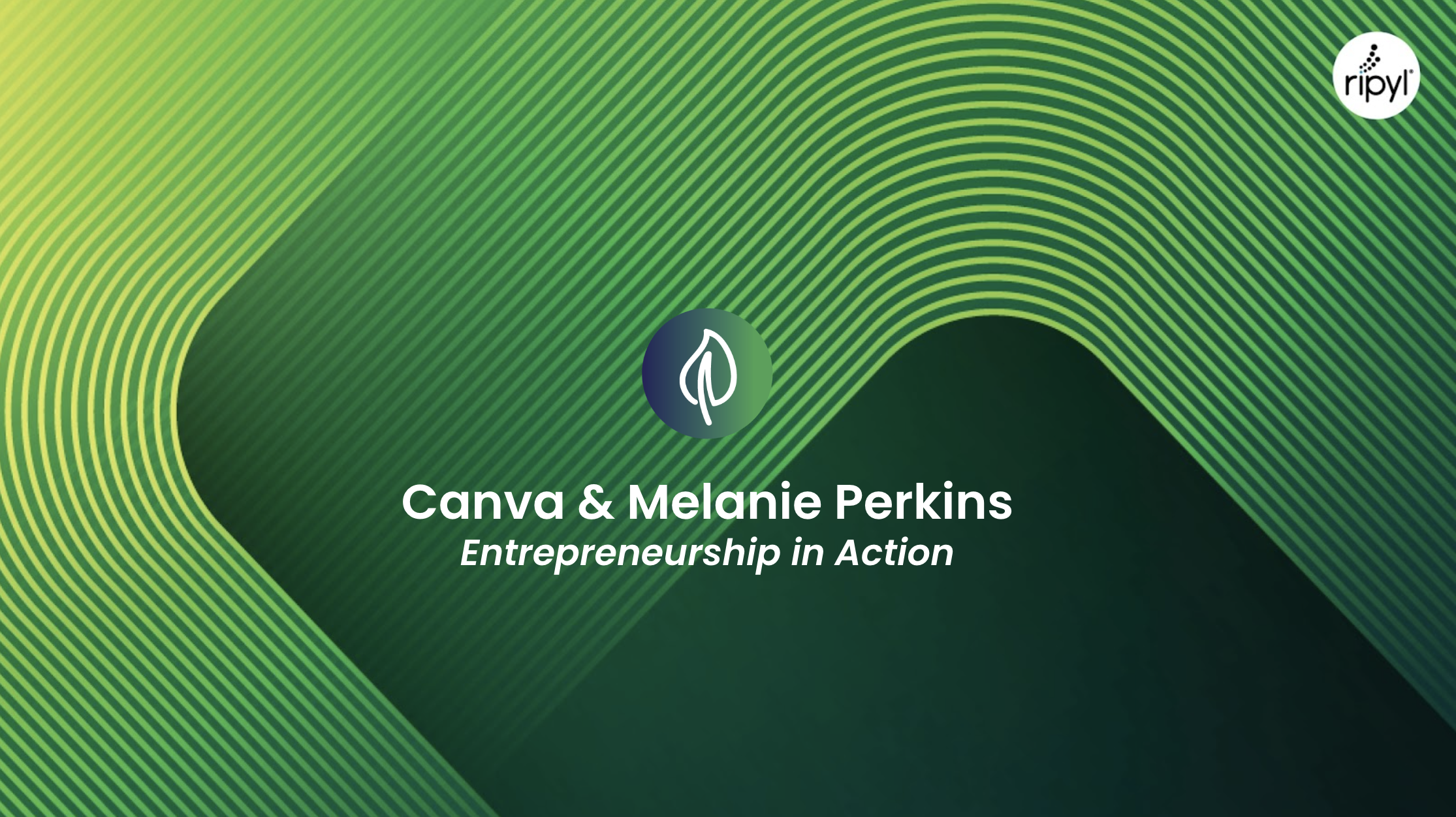 Case Study Canva S1.png