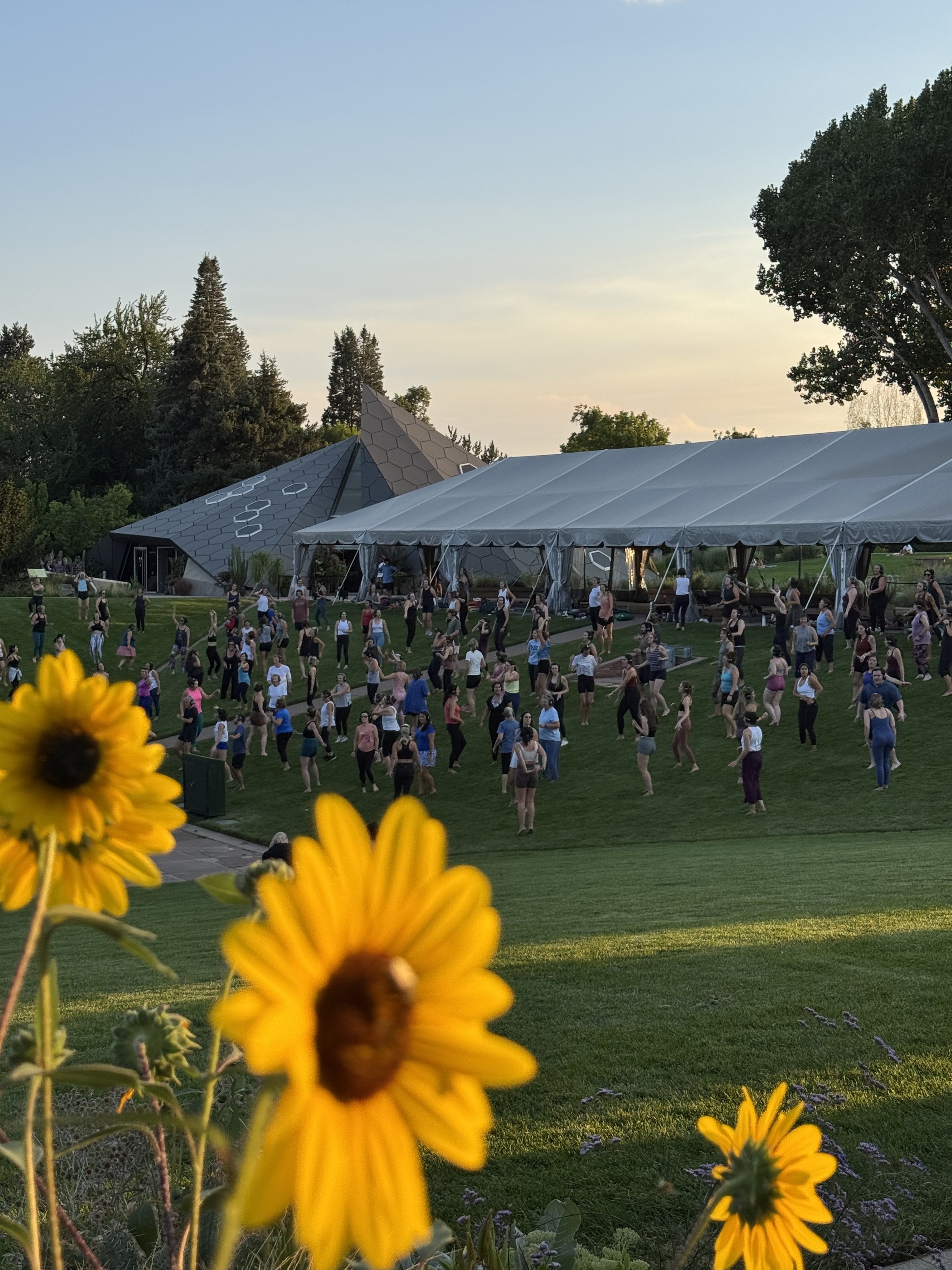 Sunset Yoga with Silent Disco at Denver Botanic Gardens 