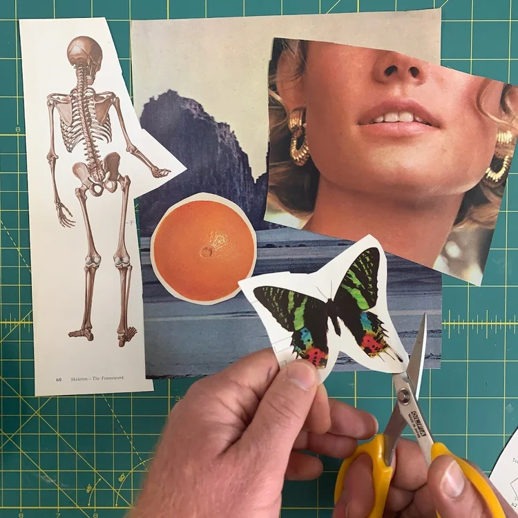 Tools You Need to Collage Like a Pro — The Red Wizard