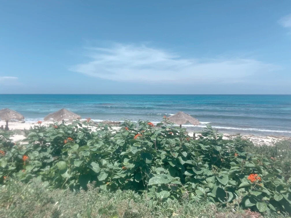 Image-1-3.jpg