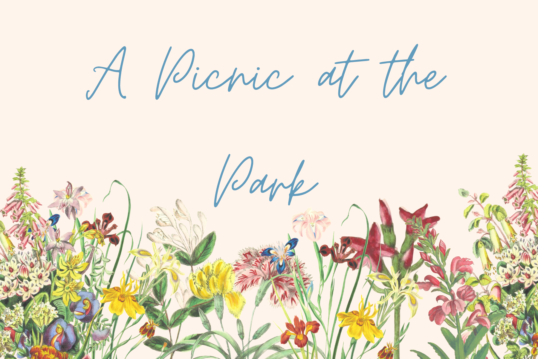 A Picnic at the Park