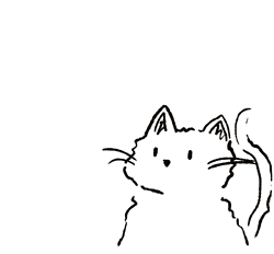 cat.gif