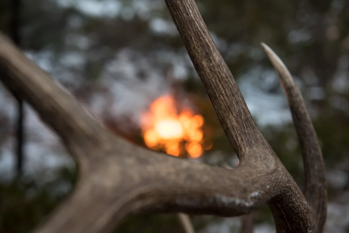 What is The Hunting Photographer?