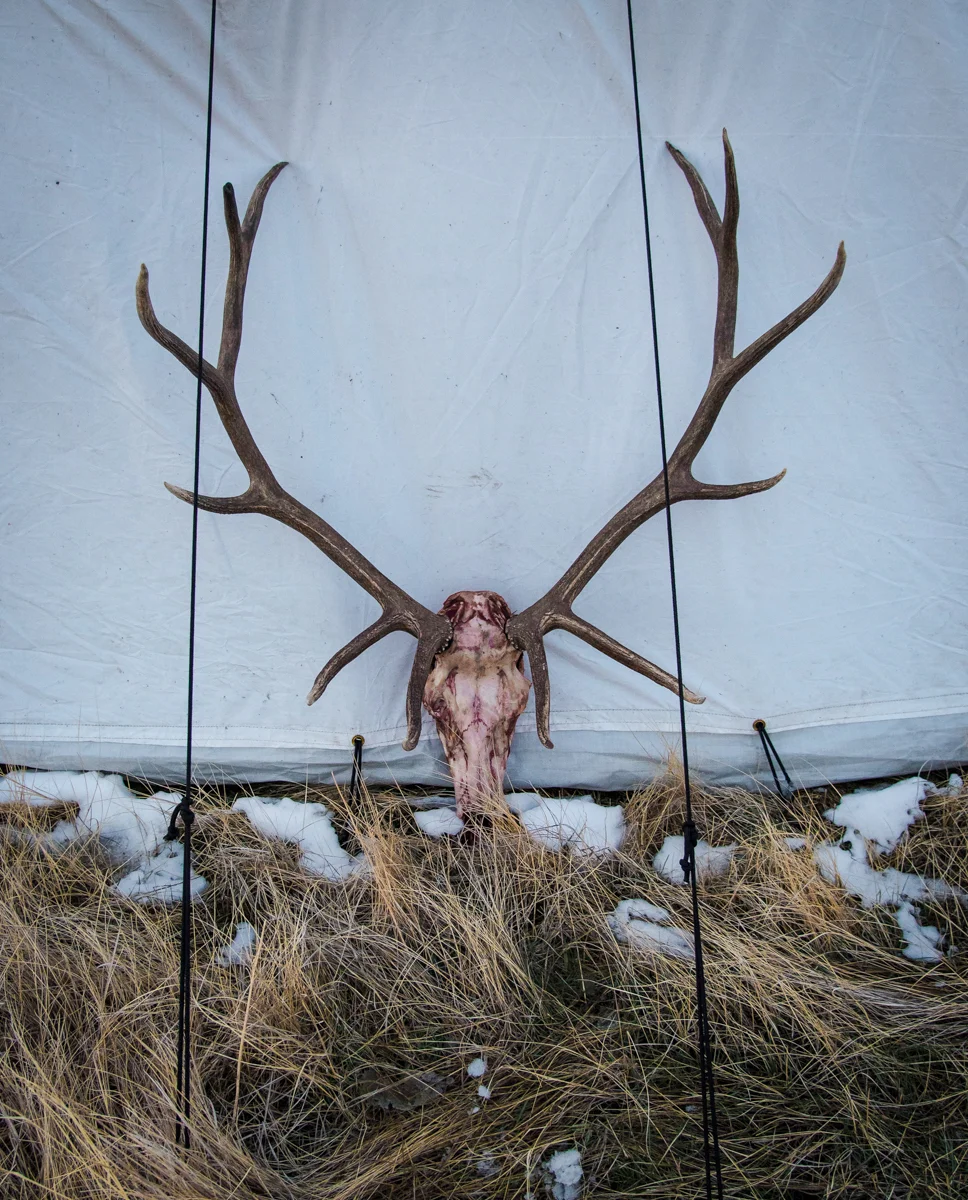 Lightroom Editing for the Hunting Photographer