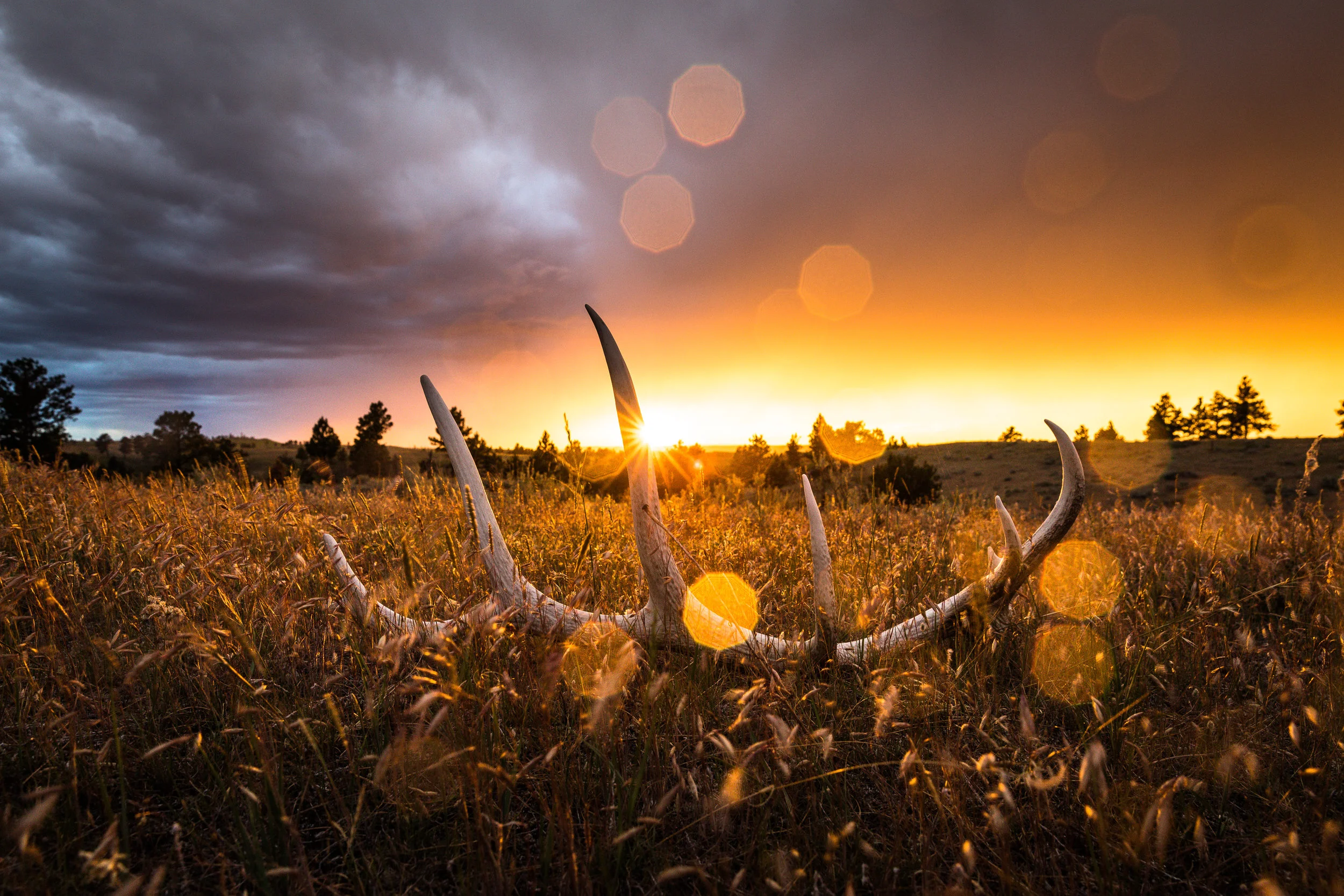 One Lens for the Rest of Your Life