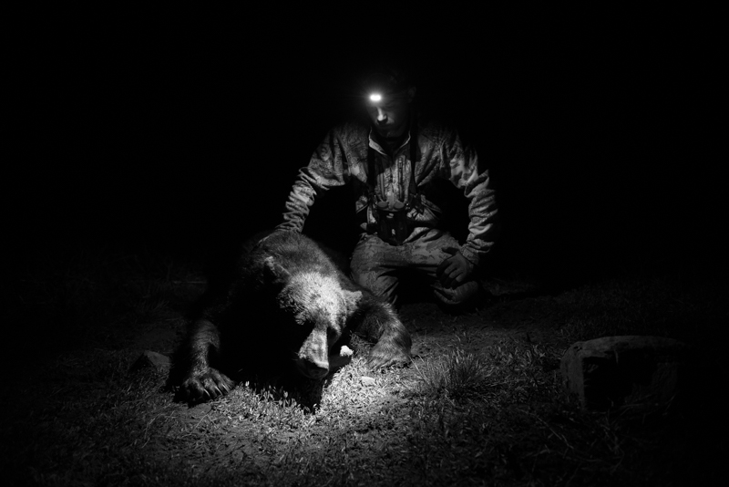 Keys To Shooting Hunting Images In Low Light