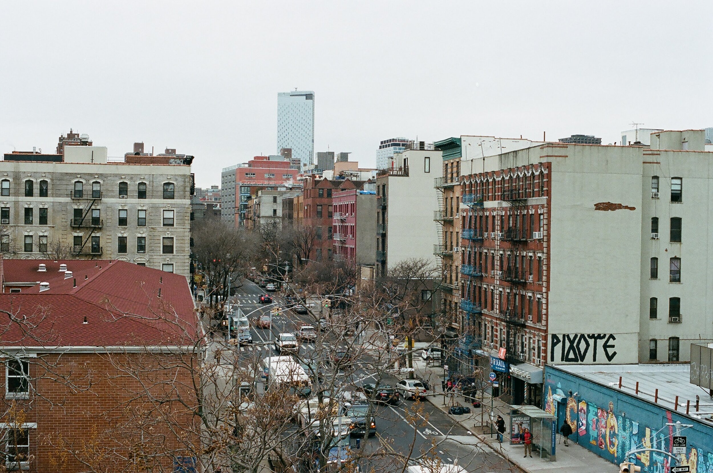 This Human Ability to Pave Paths