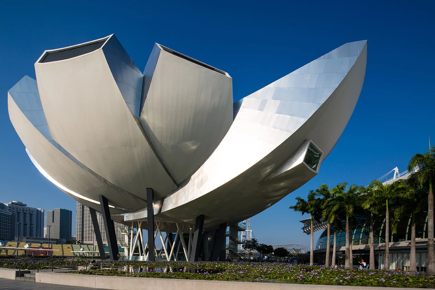 Architecture of Art Science Museum