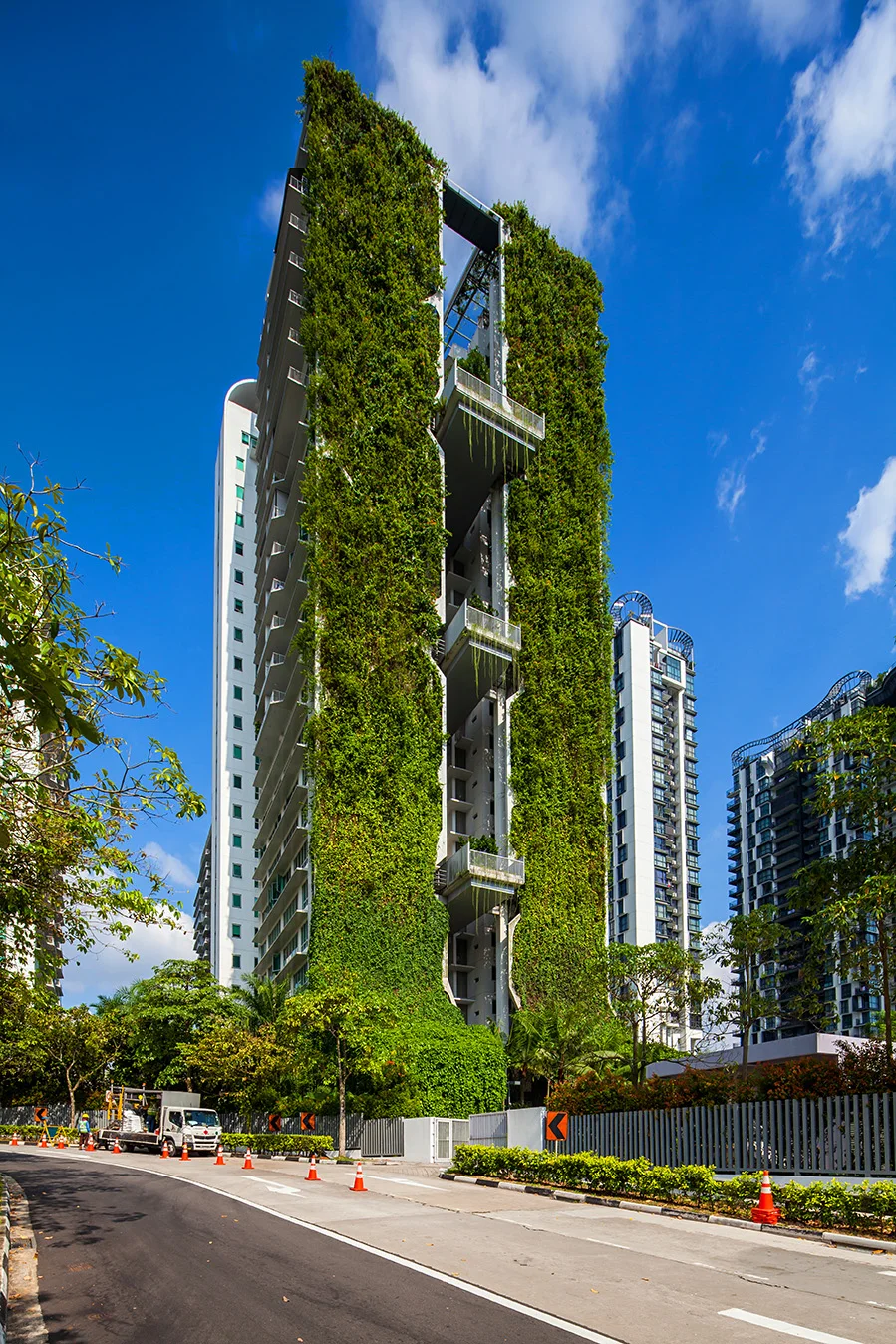 Architecture of Tree House Condo