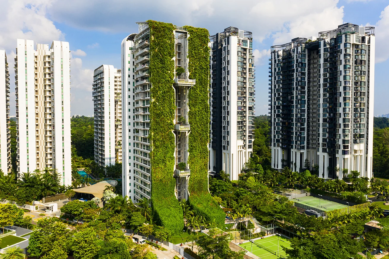 Aerial Architecture of Tree House Condo