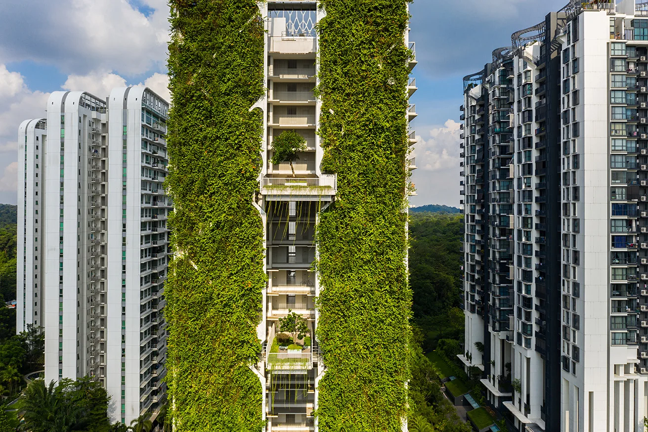 Aerial Architecture of Tree House Condo