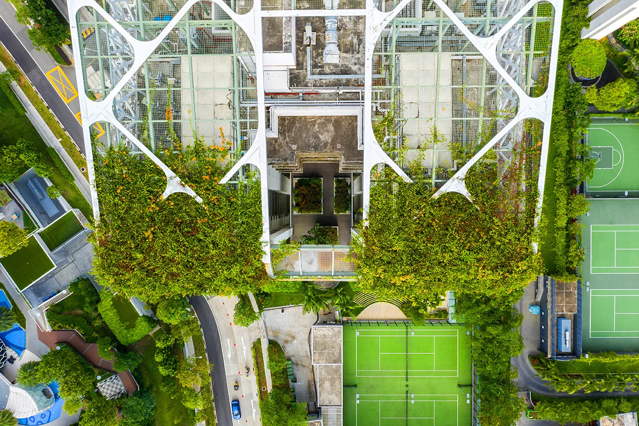 Aerial Architecture of Tree House Condo
