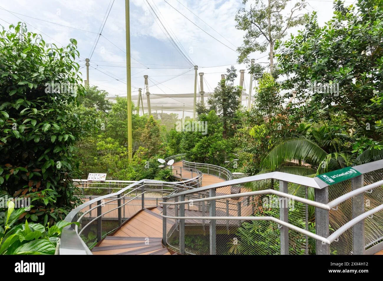Elevated view of beautiful walkway and within aviary compound at Bird Paradise. Singapore.