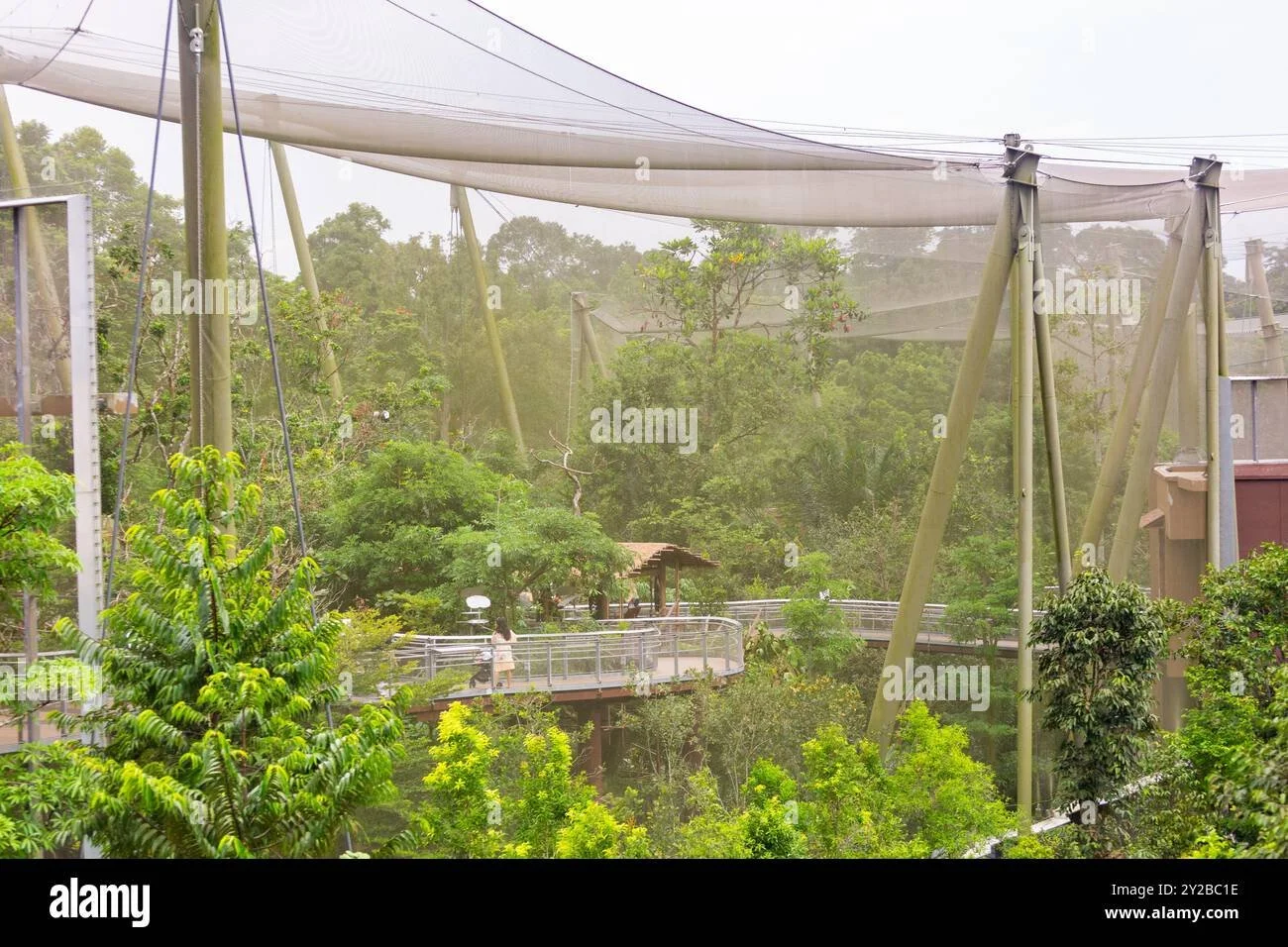 Tourists and locals tour within the aviary structure at Bird Paradise, Asia largest bird park. Singapore.