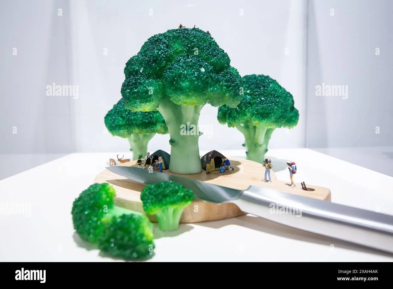 Behind My Alamy Sales – Nov 2025