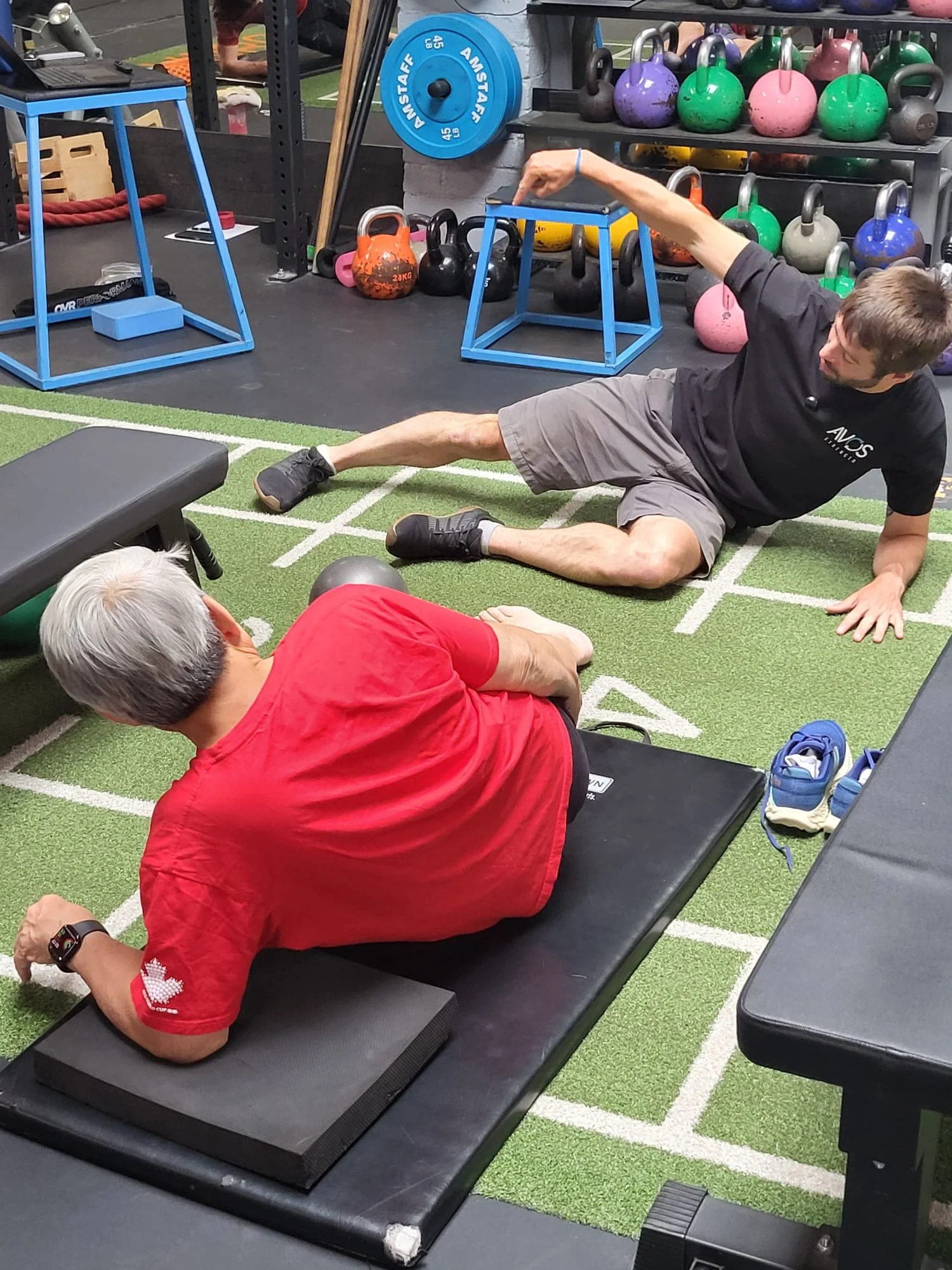 hockey-adductor-side-plank-vancouver.jpg