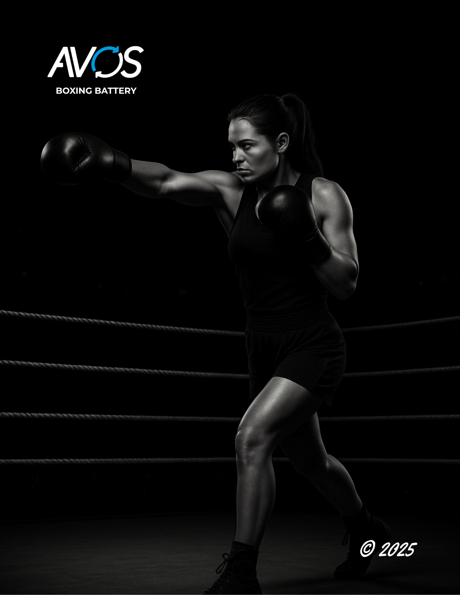 Flyer Avos Boxing Battery (ABB).png