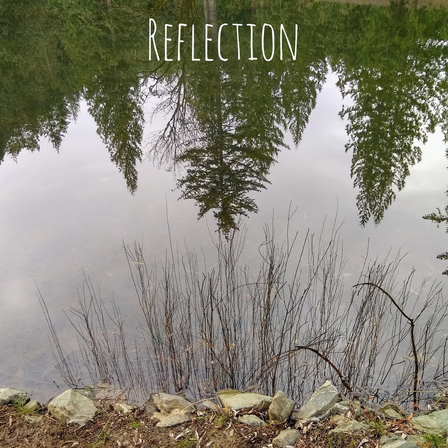 Reflection Saint Francis.jpg