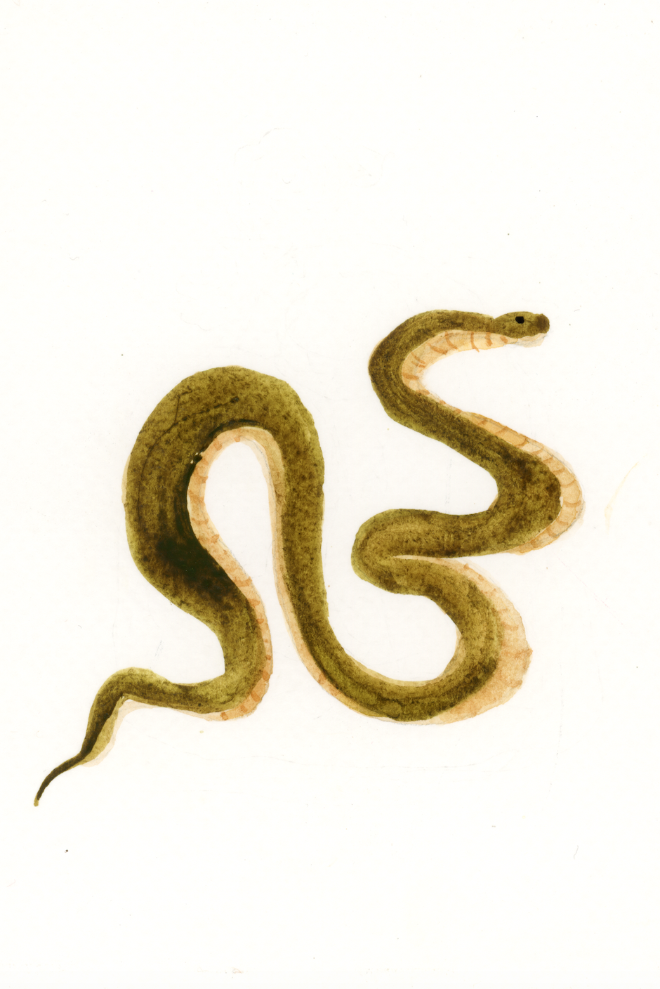 Screen Shot 2026-04-07 at 4.30.18 PM.png (Copy)