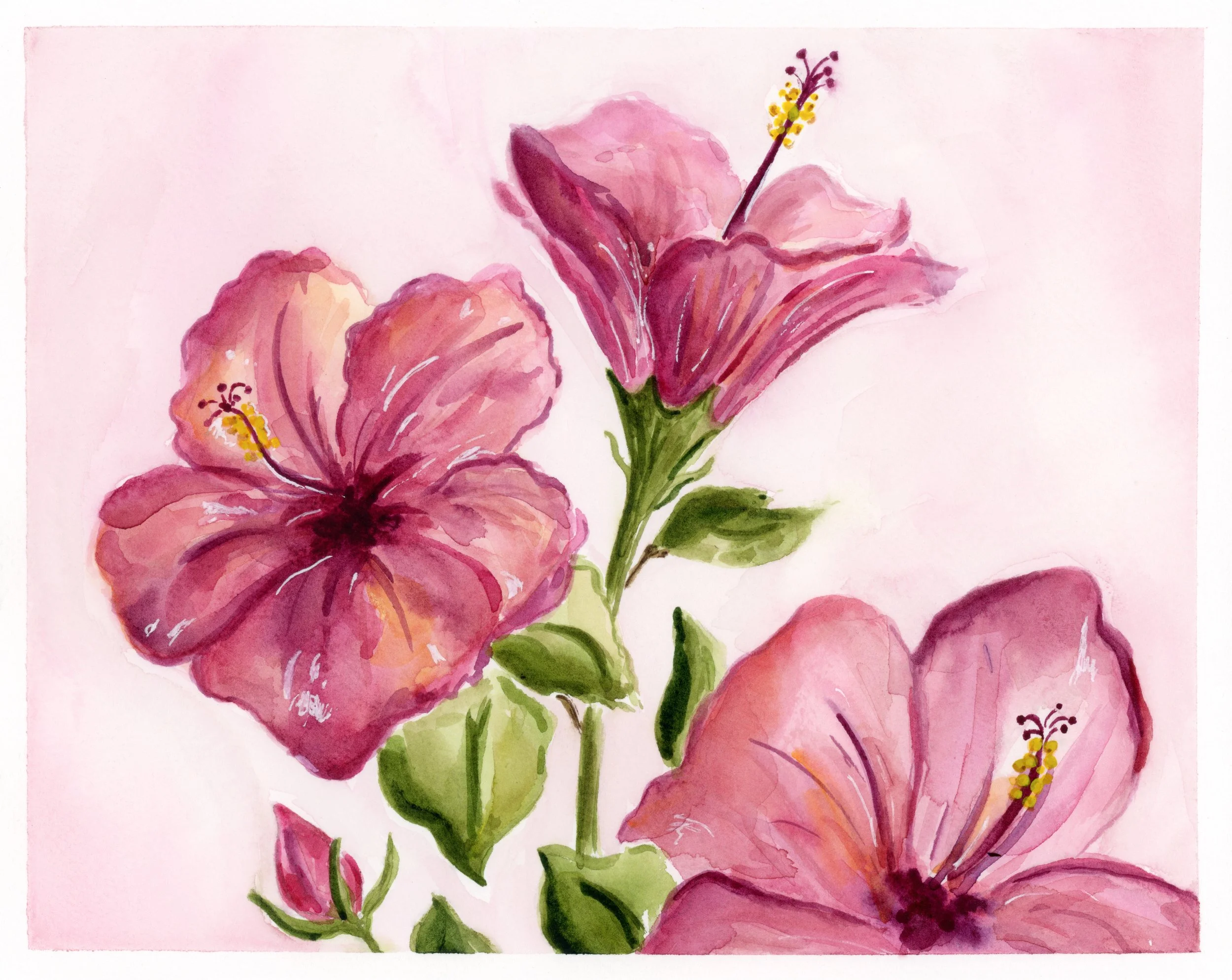 pinkie hibiscus PRINT for squarespace.jpg (Copy)