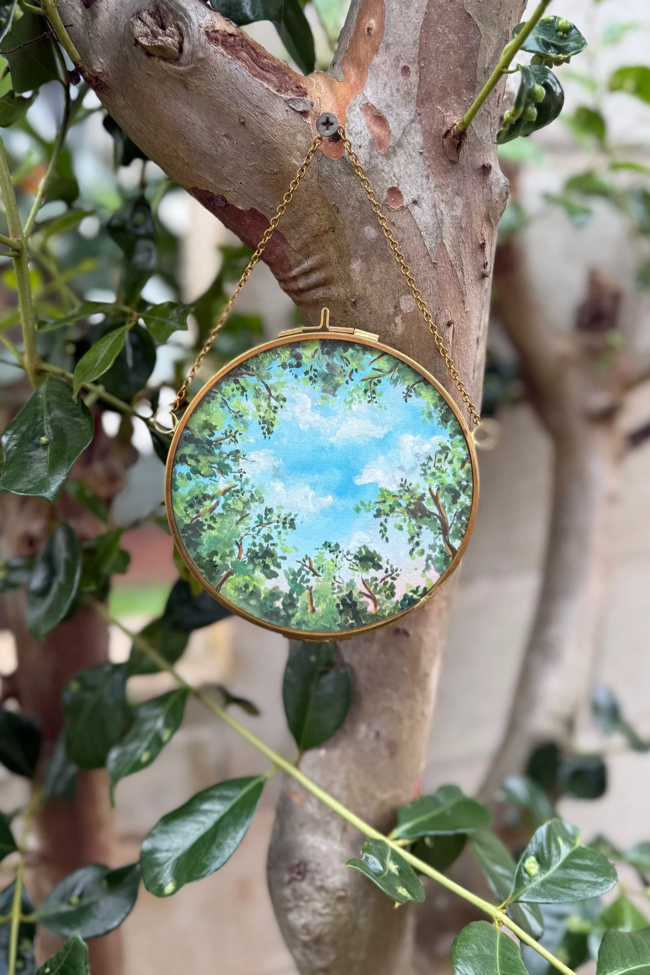 8BA929AC-2823-4C41-B177-D747F4891EC1.png (Copy)