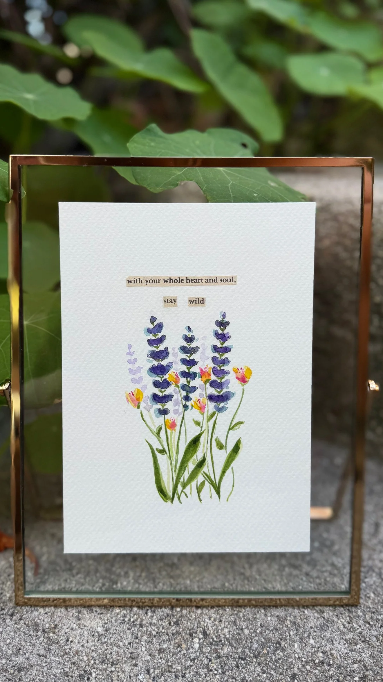 BEAA02DC-3C02-4201-9D34-2F6A0F55589B 3.JPG