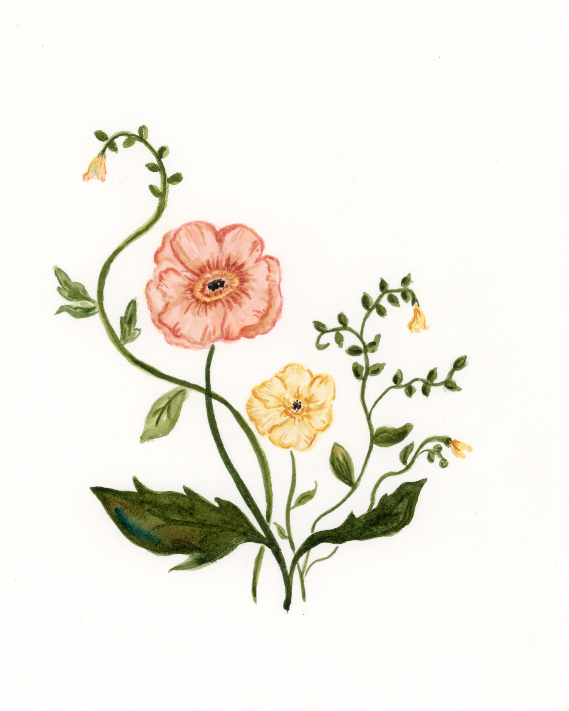 Screen Shot 2026-04-07 at 2.55.22 PM.png (Copy)