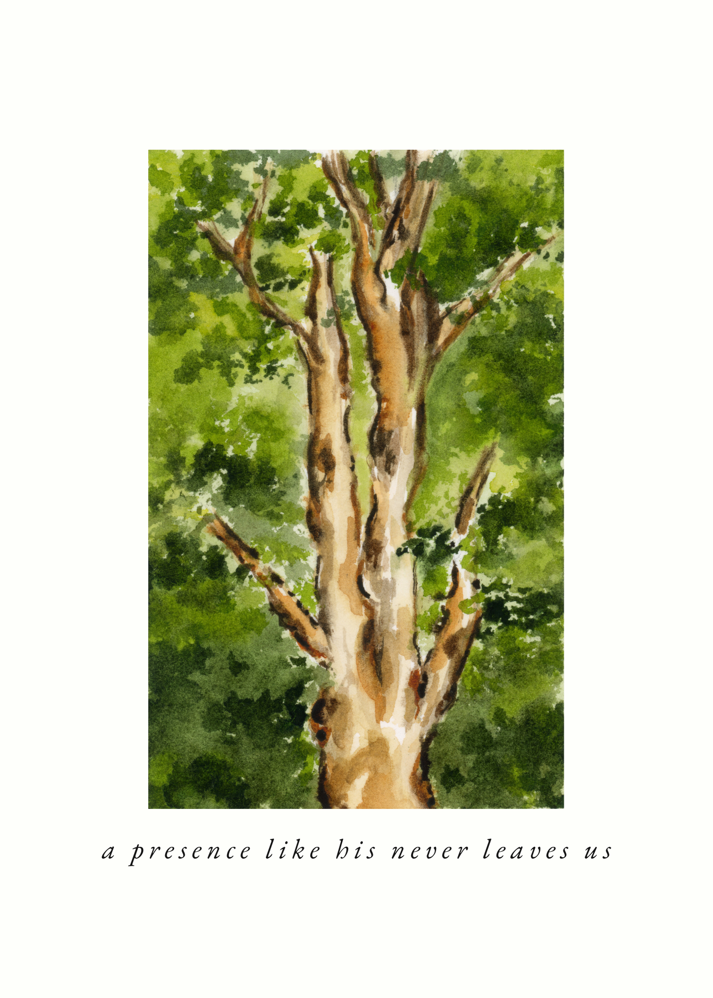 Copy of cards 1 (3).png