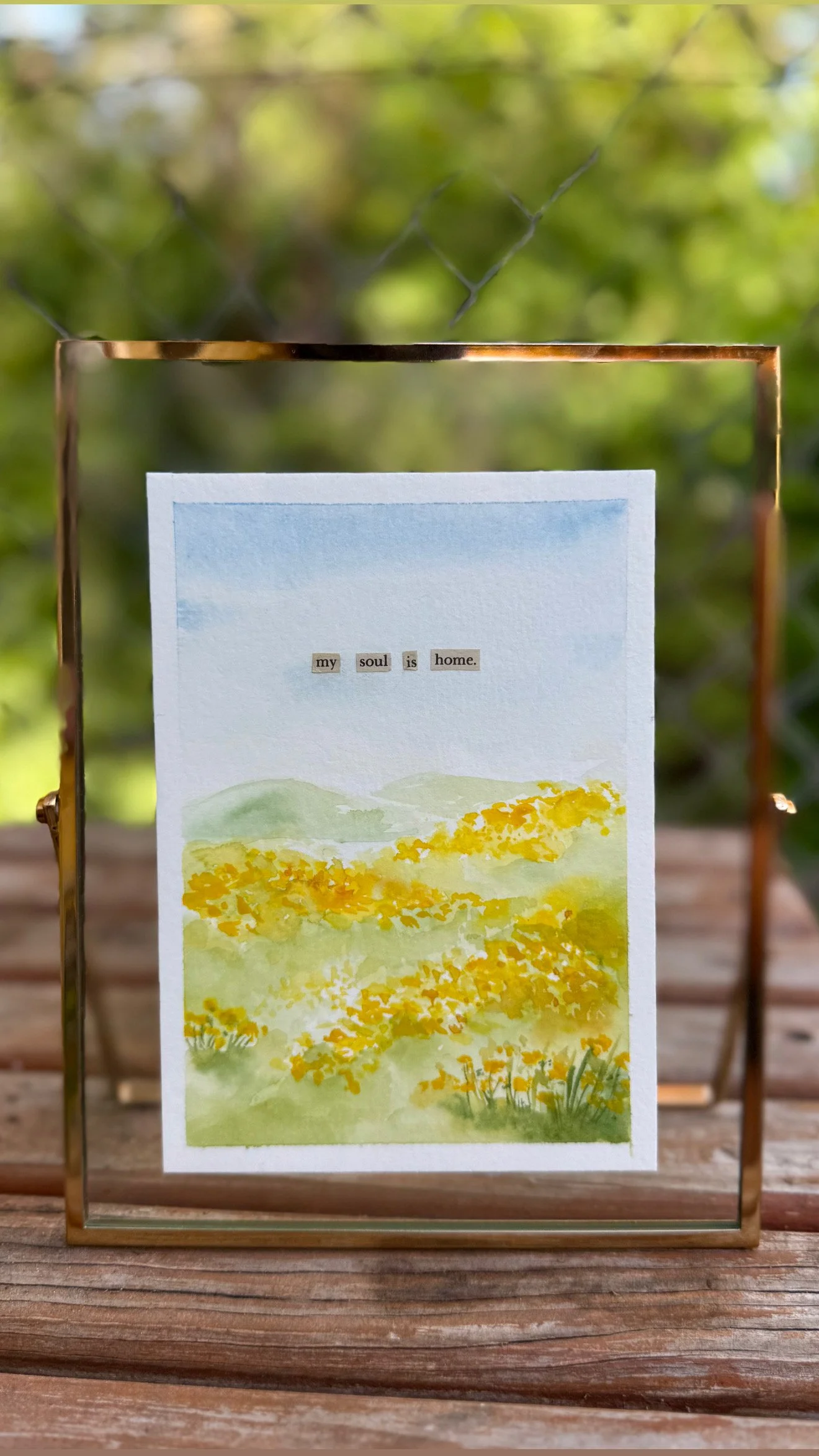 E93015DB-F26E-4C09-AE92-7F8F9EF8C0DF 2.JPG