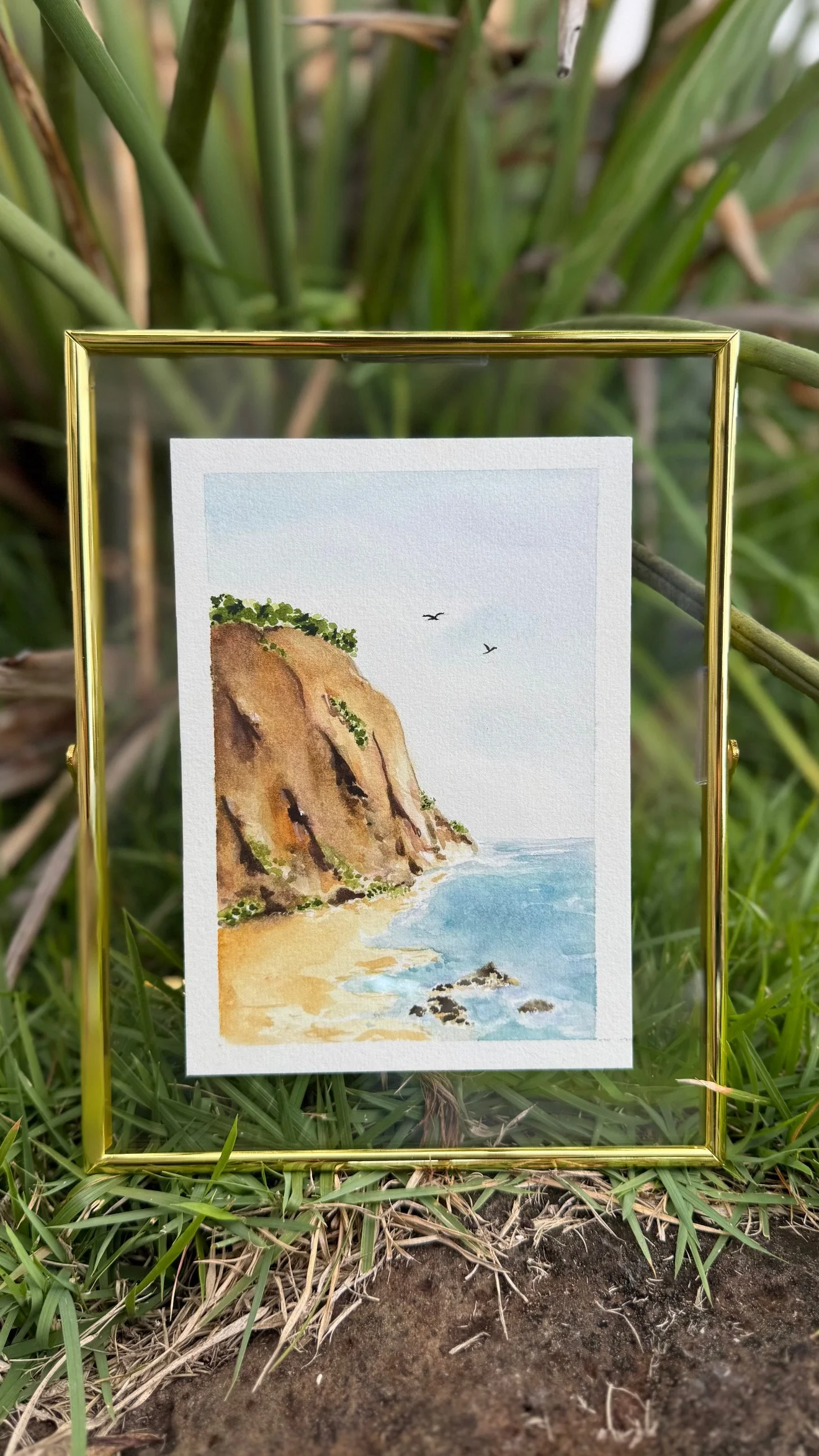 Where the Birds Breathe