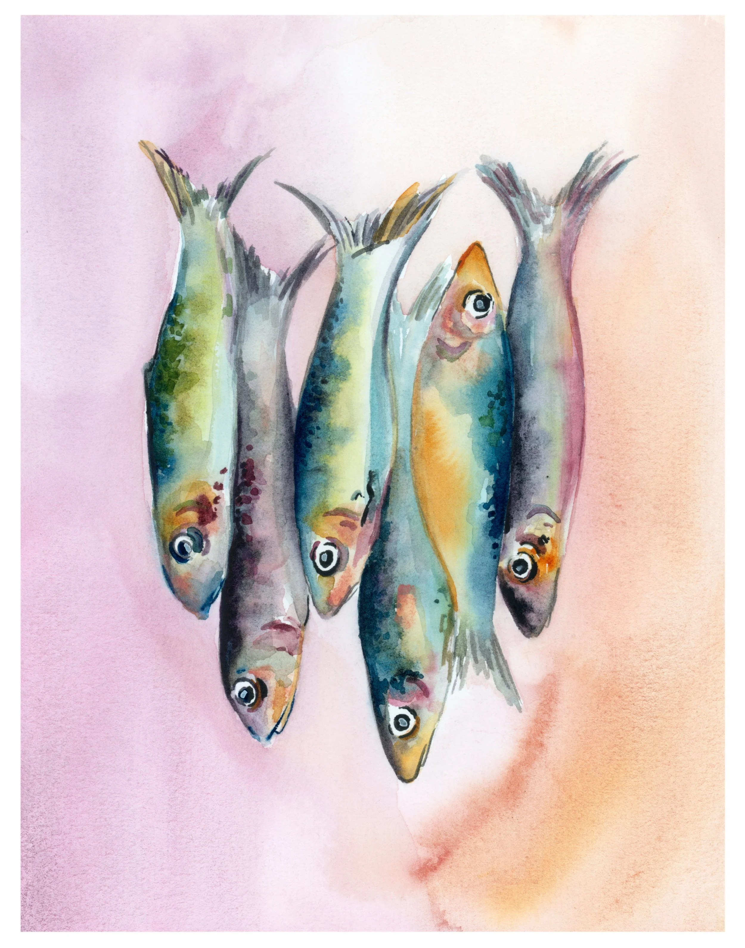 Colorful Fish Final Edit test it out squarespace.jpg (Copy)